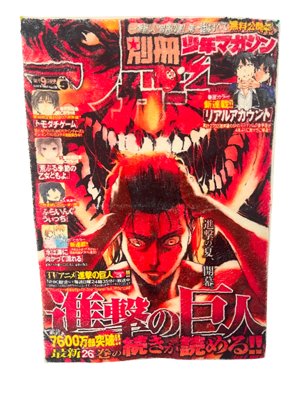 AOT Eren Yeager Cover Rug