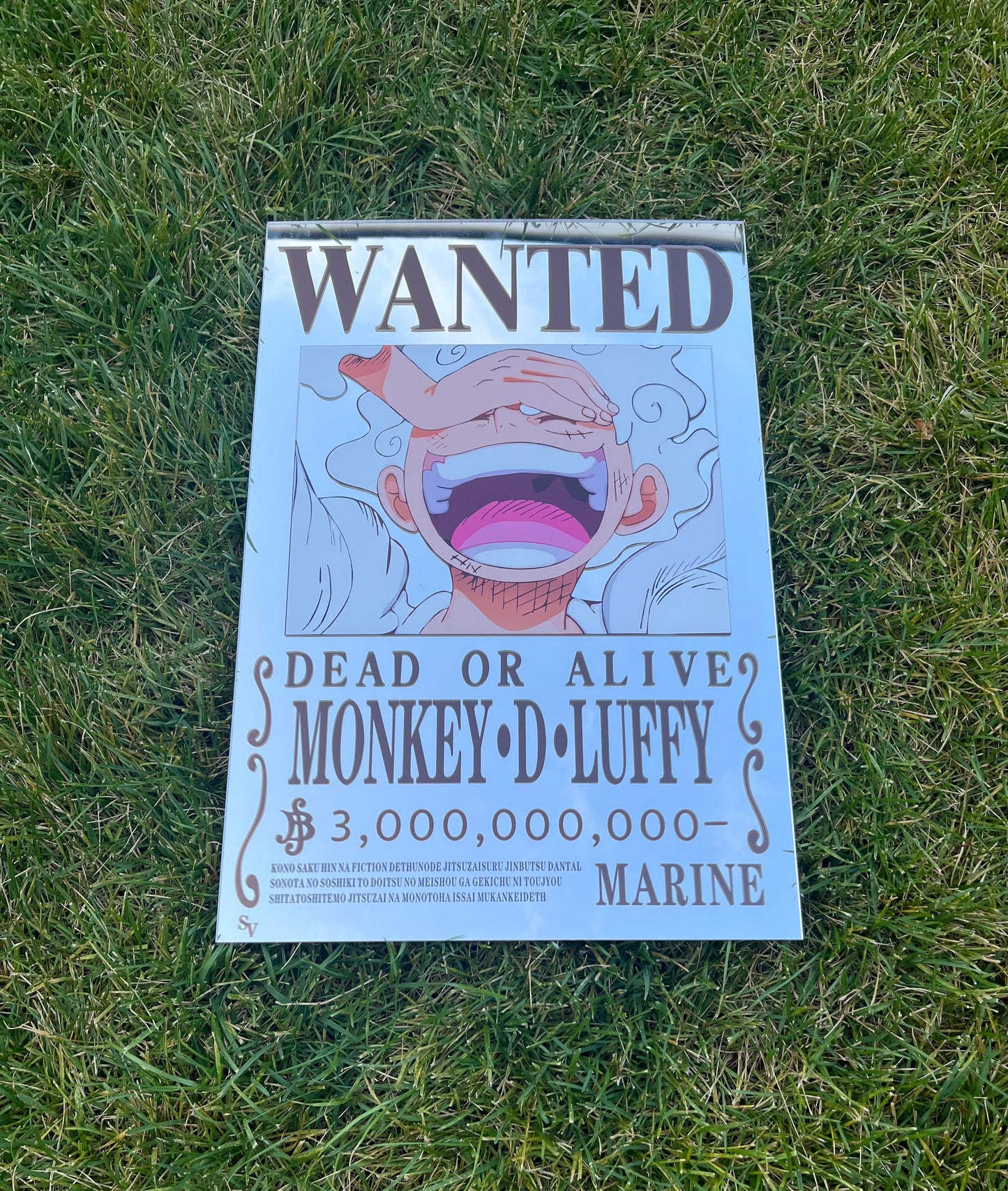 *LIMITED* LUFFY WANTED POSTER MIRROR